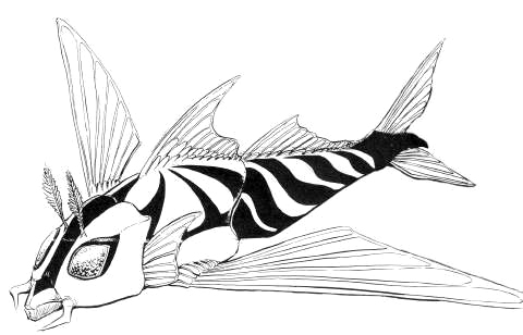 File:Concept Art - Rebirth of Mothra 2 - Aqua Mothra 13.png