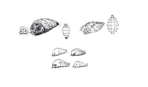 File:Concept Art - Rebirth of Mothra 3 - Primitive Mothra 1.png