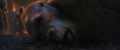 Thumbnail for version as of 21:59, 9 June 2024