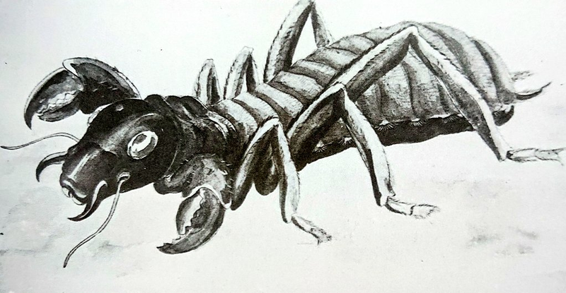 File:Meganulon concept art.png
