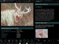 Thumbnail for version as of 13:30, 27 February 2024
