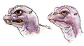 Thumbnail for version as of 22:35, 5 July 2016