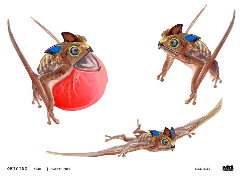 File:Parrotfrog1.jpeg