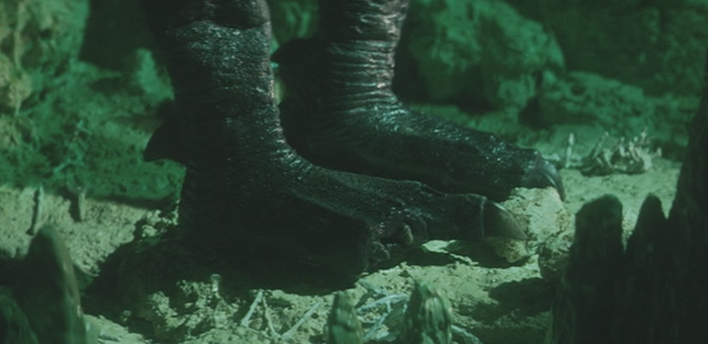 File:Gamera - 3 - vs Gyaos - 28 - Gyaos regenerates.png