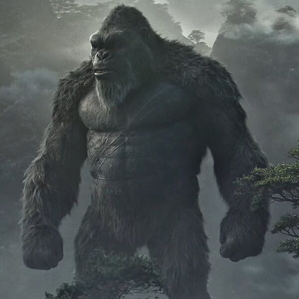 File:Kong2024.jpeg