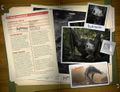 Thumbnail for version as of 19:13, 21 June 2017