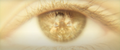 Thumbnail for version as of 17:30, 14 February 2024