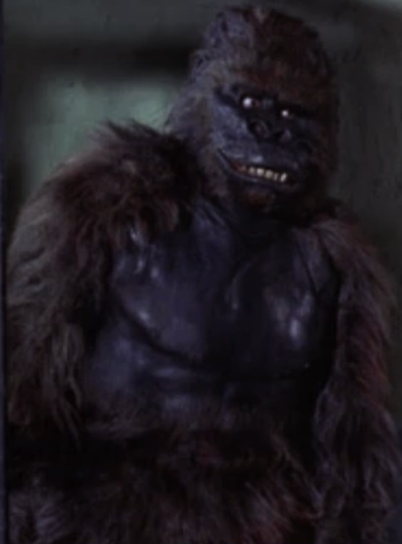 File:Konga.png