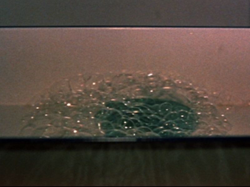 File:Liquid Toad.png