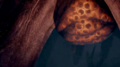 Thumbnail for version as of 05:11, 27 June 2019