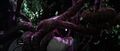 Thumbnail for version as of 22:39, 26 May 2021
