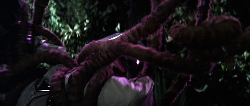 File:Vampireplant003.jpg