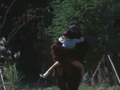 Thumbnail for version as of 20:34, 21 January 2024