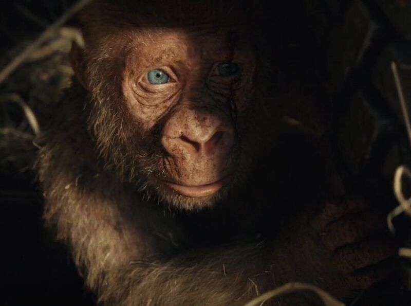 File:Baby George.jpg