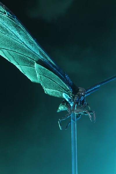 File:NECA Mothra Poster Version 6.jpg