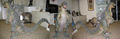 Thumbnail for version as of 18:50, 4 February 2017