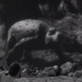 Thumbnail for version as of 00:44, 30 January 2019