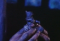 Thumbnail for version as of 19:21, 23 July 2016