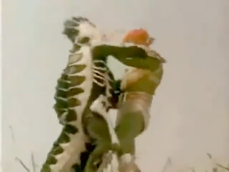 File:69C7095A-4F4B-4E29-B3A5-22D918014B6F.png