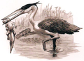 Thumbnail for version as of 00:58, 4 January 2018