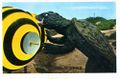Thumbnail for version as of 18:19, 30 July 2016