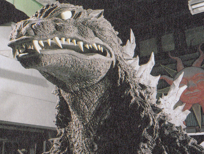 File:WIP MireGoji face.jpg