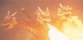 Thumbnail for version as of 04:38, 3 August 2016