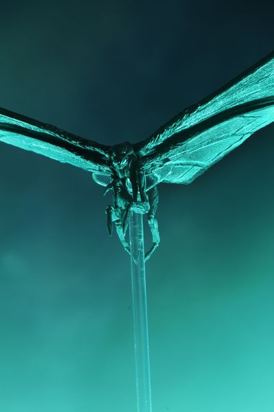 File:NECA Mothra Poster Version 8.jpg