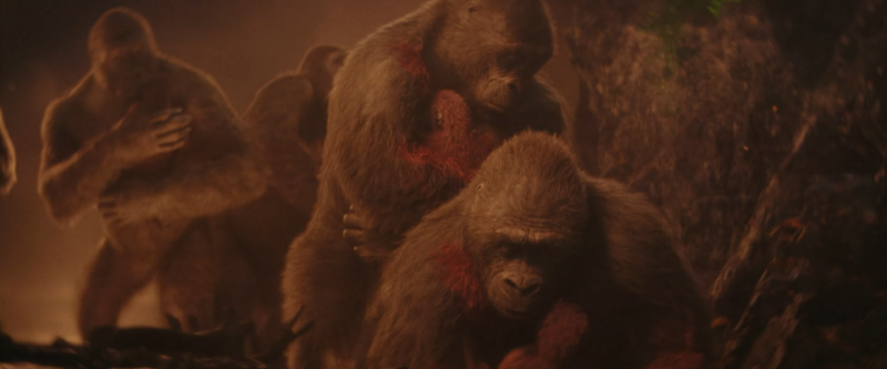 File:GxK - Great Ape females and youngs.png