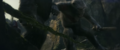 Thumbnail for version as of 00:18, 9 February 2025
