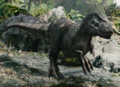 Thumbnail for version as of 15:22, 4 August 2019