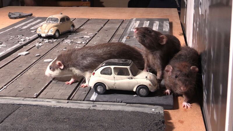 File:Get off the Road!.jpg