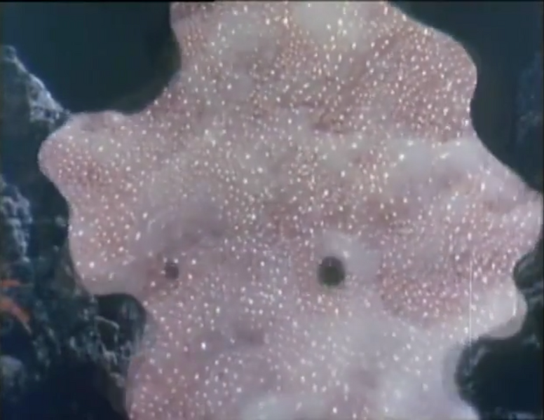 File:Grotogauros forming.png