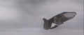 Thumbnail for version as of 19:20, 23 July 2016