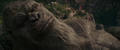 Thumbnail for version as of 21:57, 5 March 2024