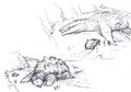 Thumbnail for version as of 00:40, 28 July 2020