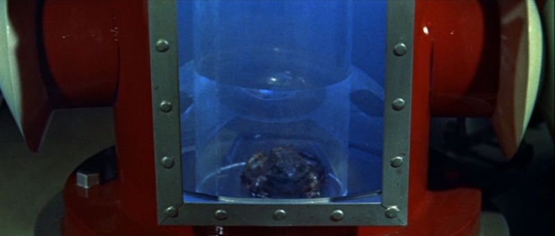 File:Liquid Toad - 3.png