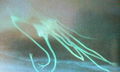 Thumbnail for version as of 12:43, 22 August 2016