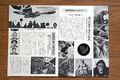 Thumbnail for version as of 19:20, 23 July 2016