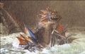 Thumbnail for version as of 05:13, 22 August 2016