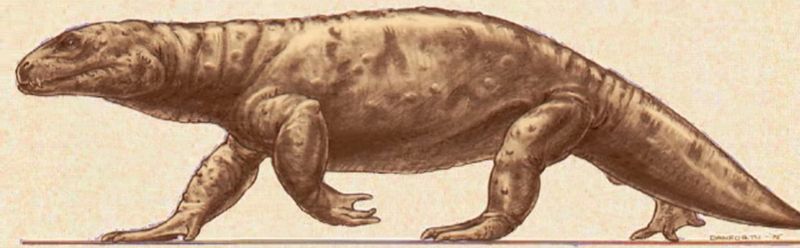 File:Giant Amphibian from The Legend of King Kong.jpeg