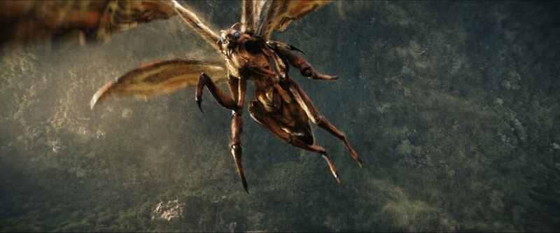 File:GxK - Mothra 7.jpg
