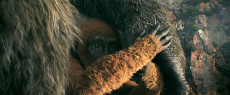 File:GxK - Suko with Kong.jpg
