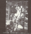 Thumbnail for version as of 04:49, 8 January 2024