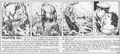 Thumbnail for version as of 20:13, 24 February 2023