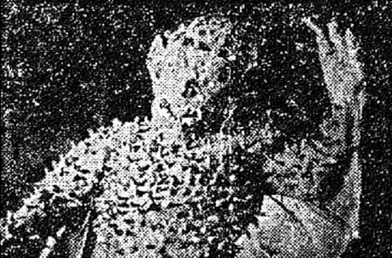 File:Bulgasari 1962.jpg