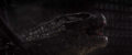 Thumbnail for version as of 15:43, 21 March 2023