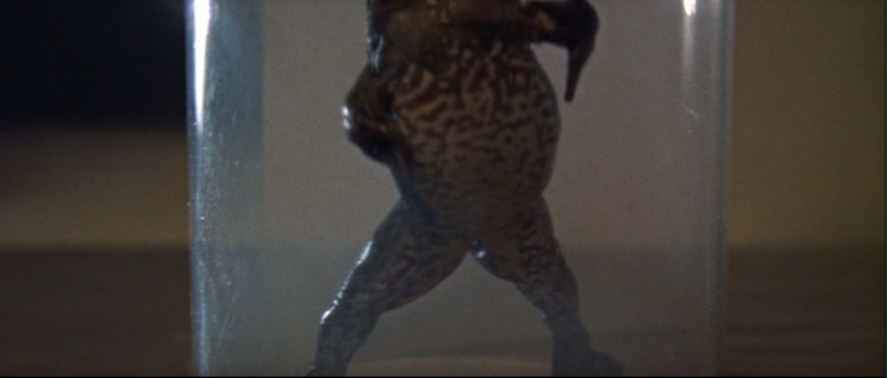 File:Liquid Toad - 7.png