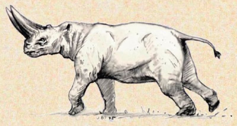 File:RhinoLegendOfKingKong01.jpeg