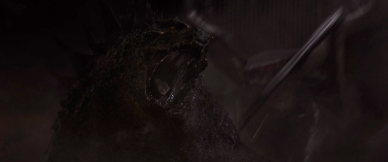 File:GareGoji Widescreen 80.png